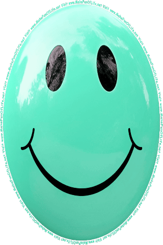 Picture of a blue 190 color cartoon smiley face, and the words, Visit www.MakeFunOfLife.net.