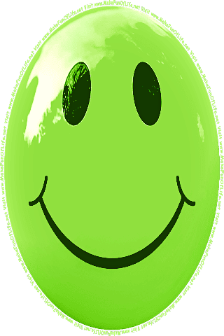 Picture of a green 290 color cartoon smiley face, and the words, Visit www.MakeFunOfLife.net.