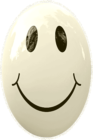 Picture of a yellow 190  color cartoon smiley face, and the words, Visit www.MakeFunOfLife.net.