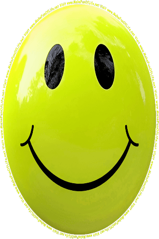 Picture of a green 280 color cartoon smiley face, and the words, Visit www.MakeFunOfLife.net.