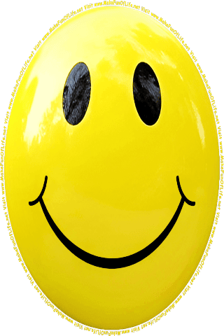 Picture of a yellow 210 color cartoon smiley face, and the words, Visit www.MakeFunOfLife.net.