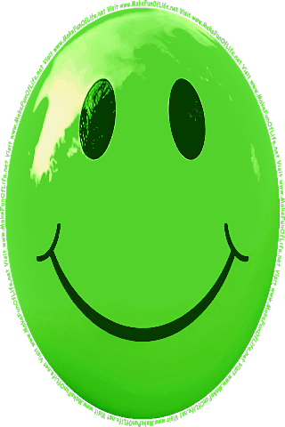 Picture of a green 220 color cartoon smiley face, and the words, Visit www.MakeFunOfLife.net.