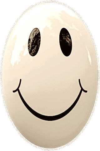 Picture of a brown 190 color cartoon smiley face, and the words, Visit www.MakeFunOfLife.net.