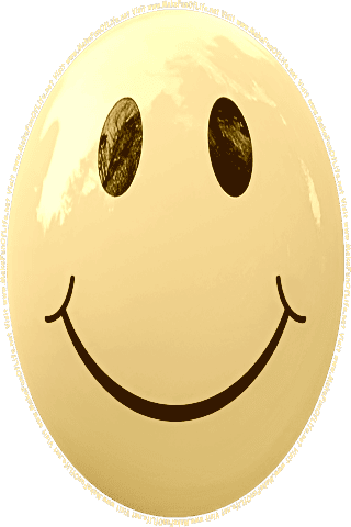 Picture of a yellow 200 color cartoon smiley face, and the words, Visit www.MakeFunOfLife.net.