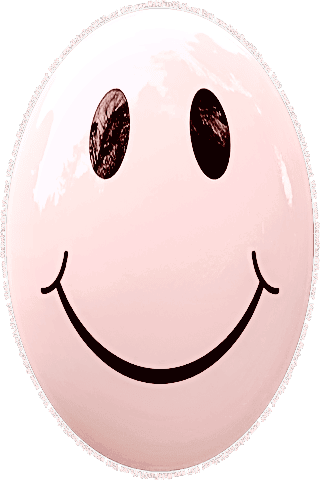 Picture of a pink 190 color cartoon smiley face, and the words, Visit www.MakeFunOfLife.net.