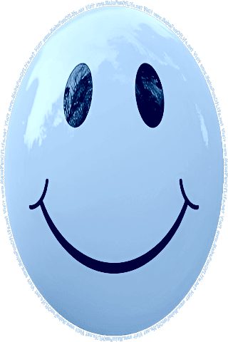 Picture of a blue 200  color cartoon smiley face, and the words, Visit www.MakeFunOfLife.net.