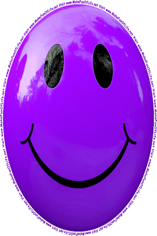 Picture of a purple 190 color cartoon smiley face, and the words, Visit www.MakeFunOfLife.net.