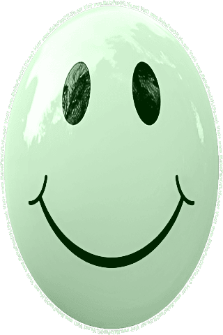 Picture of a green 190 color cartoon smiley face, and the words, Visit www.MakeFunOfLife.net.