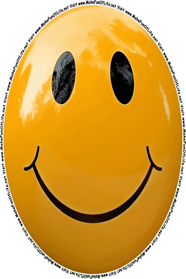 Picture of a brown 2 smiley face, and the words, Visit www.MakeFunOfLife.net.