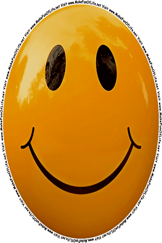 Picture of a brown 3  smiley face, and the words, Visit www.MakeFunOfLife.net.
