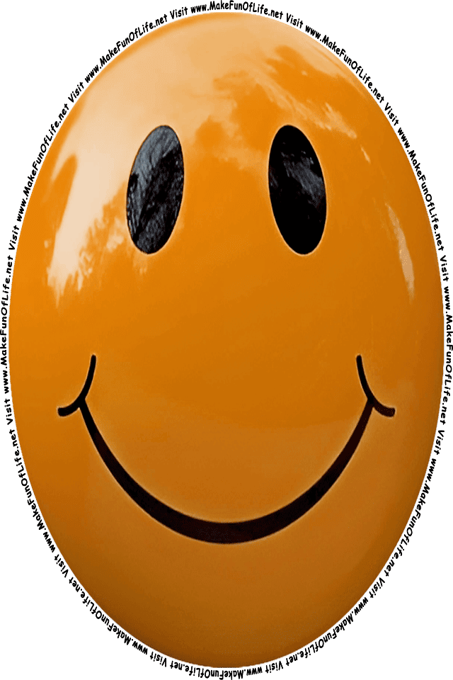 Picture of a brown 4 smiley face, and the words, Visit www.MakeFunOfLife.net.