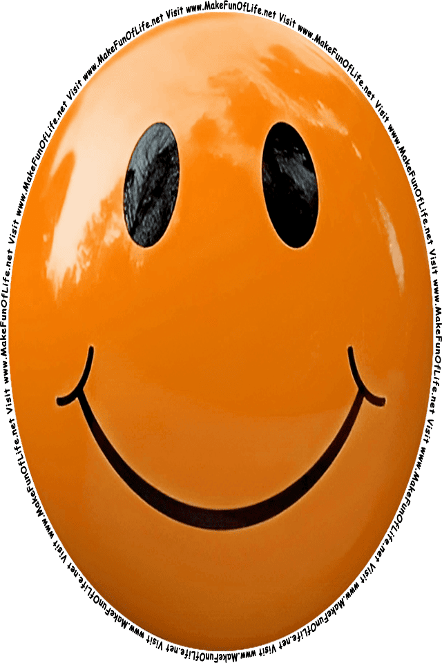 Picture of a brown 5 smiley face, and the words, Visit www.MakeFunOfLife.net.