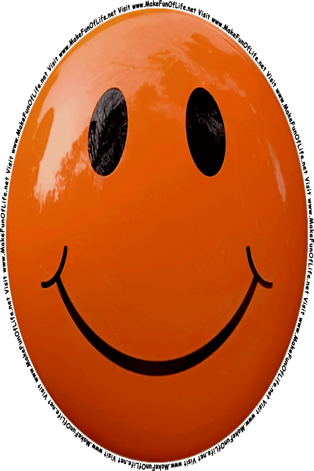 Picture of a Brown 6 smiley face, and the words, Visit www.MakeFunOfLife.net.