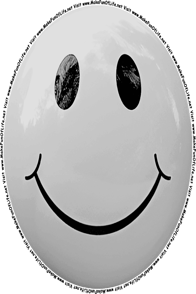 Picture of a gray 3 smiley face, and the words, Visit www.MakeFunOfLife.net.