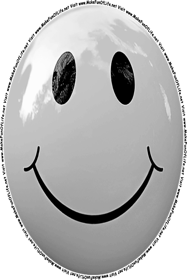 Picture of a gray 4 smiley face, and the words, Visit www.MakeFunOfLife.net.