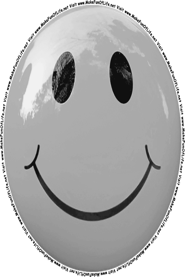 Picture of a gray 5 smiley face, and the words, Visit www.MakeFunOfLife.net.