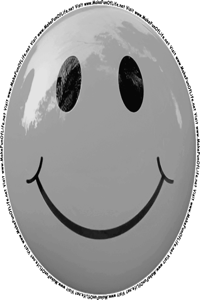 Picture of a gray 6 smiley face, and the words, Visit www.MakeFunOfLife.net.