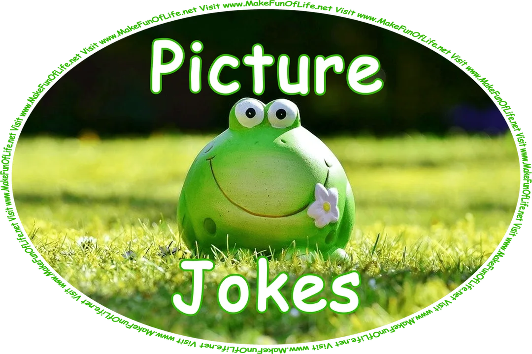 Click or tap here to visit the Picture Jokes Page.