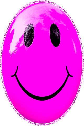 Picture of a pink 100 color cartoon smiley face, and the words, Visit www.MakeFunOfLife.net.