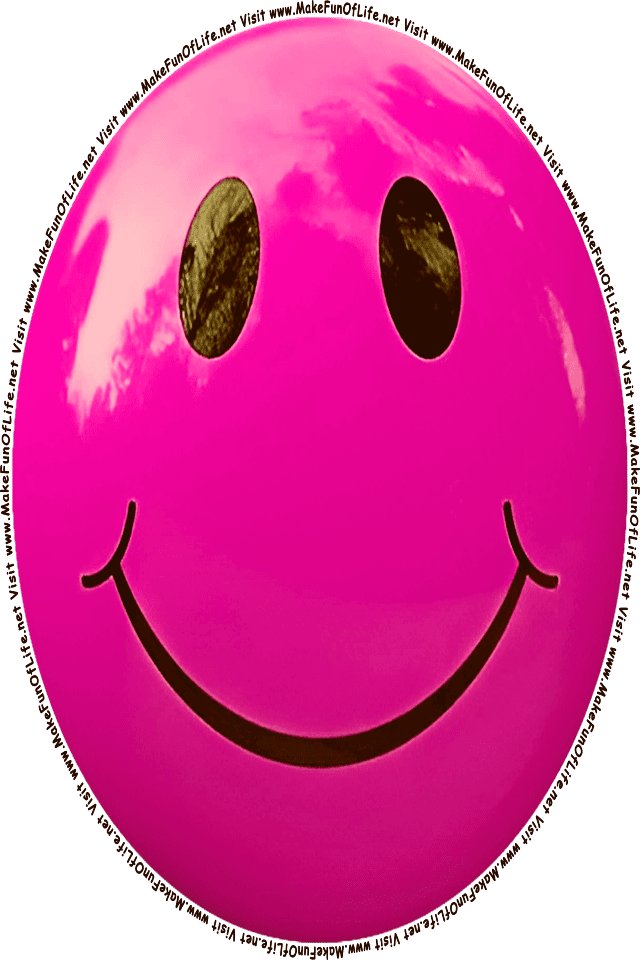 Picture of a pink 10] smiley face, and the words, Visit www.MakeFunOfLife.net.