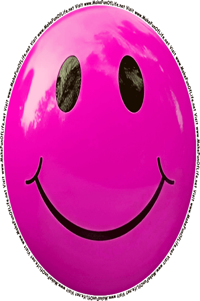 Picture of a pink 11 smiley face, and the words, Visit www.MakeFunOfLife.net.