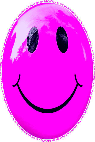 Picture of a pink 120 color cartoon smiley face, and the words, Visit www.MakeFunOfLife.net.
