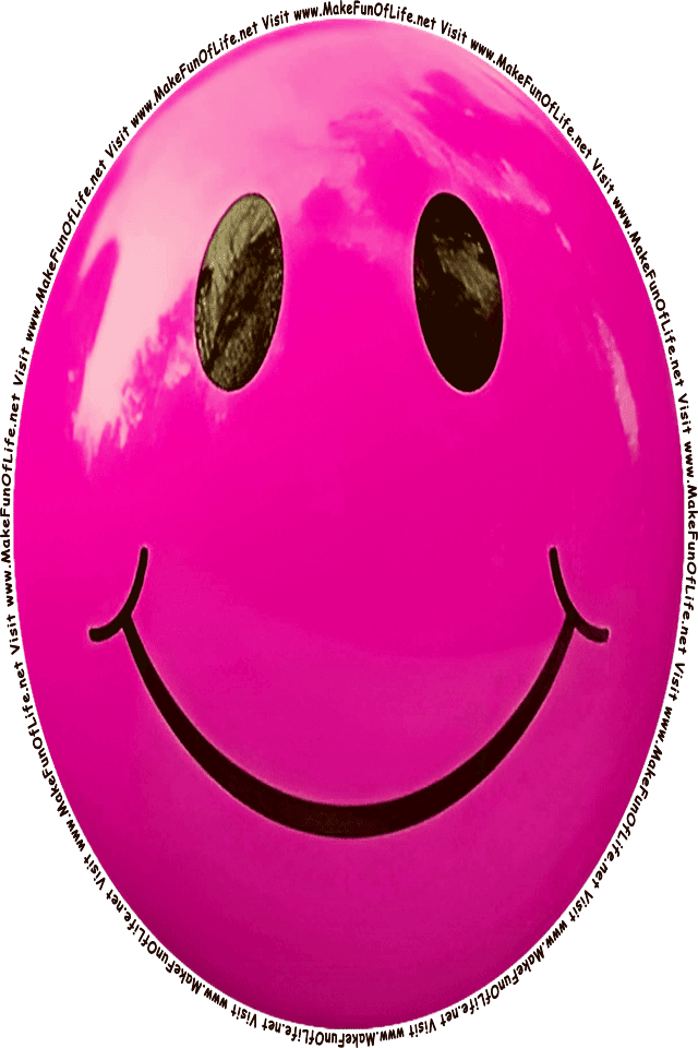 Picture of a Pink 12 smiley face, and the words, Visit www.MakeFunOfLife.net.