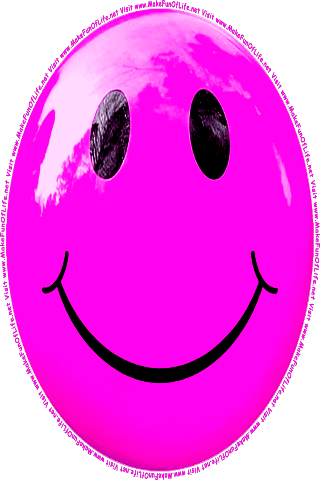 Picture of a pink 140 color cartoon smiley face, and the words, Visit www.MakeFunOfLife.net.