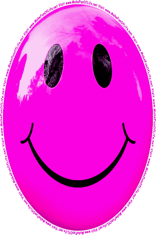 Picture of a pink 160 color cartoon smiley face, and the words, Visit www.MakeFunOfLife.net.