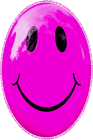 Picture of a pink 180 color cartoon smiley face, and the words, Visit www.MakeFunOfLife.net.