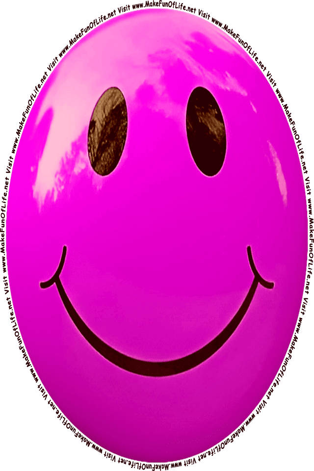 Picture of a pink 1 smiley face, and the words, Visit www.MakeFunOfLife.net.