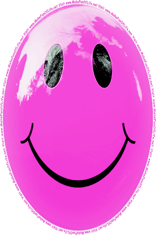 Picture of a pink 20 color cartoon smiley face, and the words, Visit www.MakeFunOfLife.net.