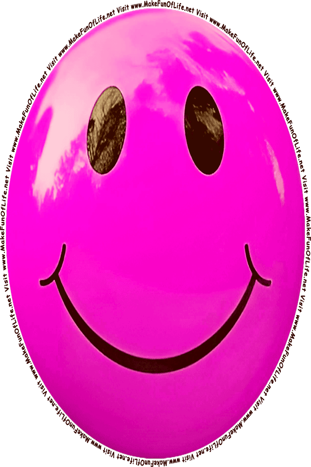 Picture of a pink 2 smiley face, and the words, Visit www.MakeFunOfLife.net.