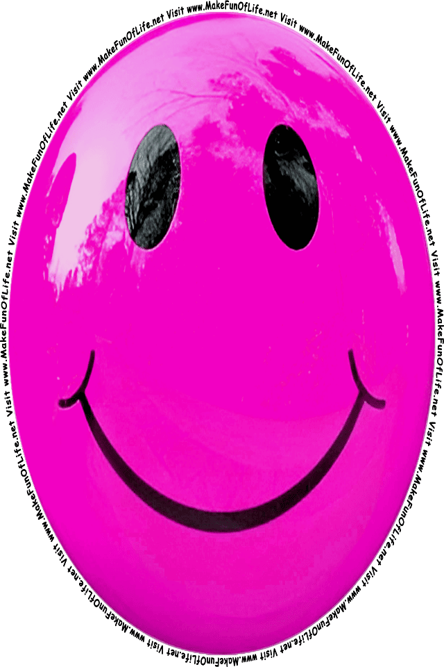 Picture of a pink 3 smiley face, and the words, Visit www.MakeFunOfLife.net.