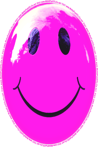 Picture of a pink 40  color cartoon smiley face, and the words, Visit www.MakeFunOfLife.net.