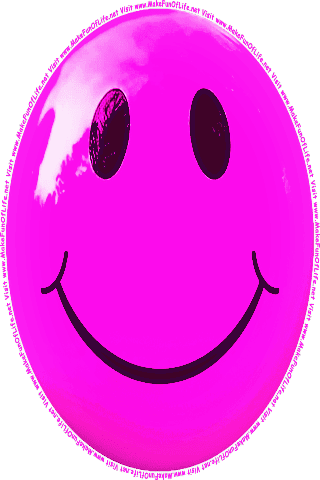 Picture of a pink 430 color cartoon smiley face, and the words, Visit www.MakeFunOfLife.net.