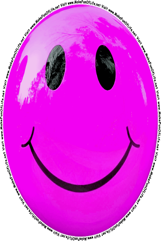 Picture of a pink 4 smiley face, and the words, Visit www.MakeFunOfLife.net.