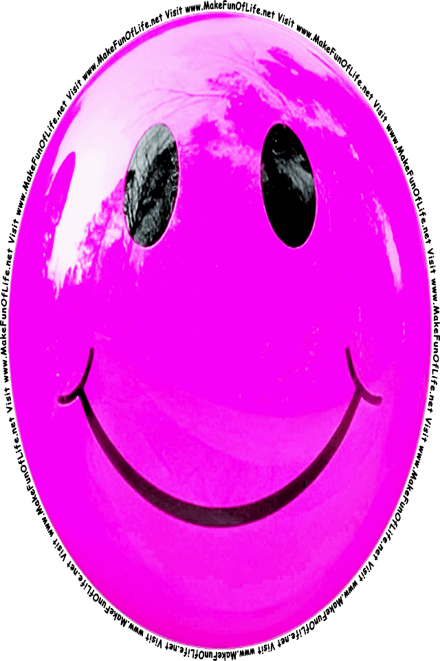Picture of a pink 5 smiley face, and the words, Visit www.MakeFunOfLife.net.