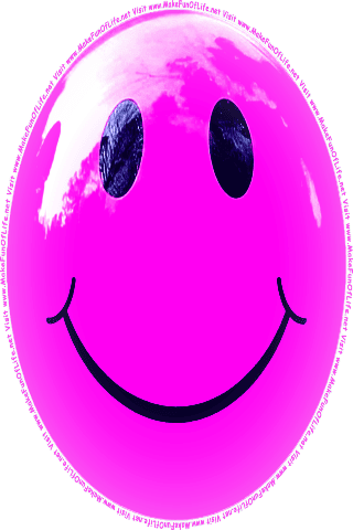 Picture of a pink 60 color cartoon smiley face, and the words, Visit www.MakeFunOfLife.net.
