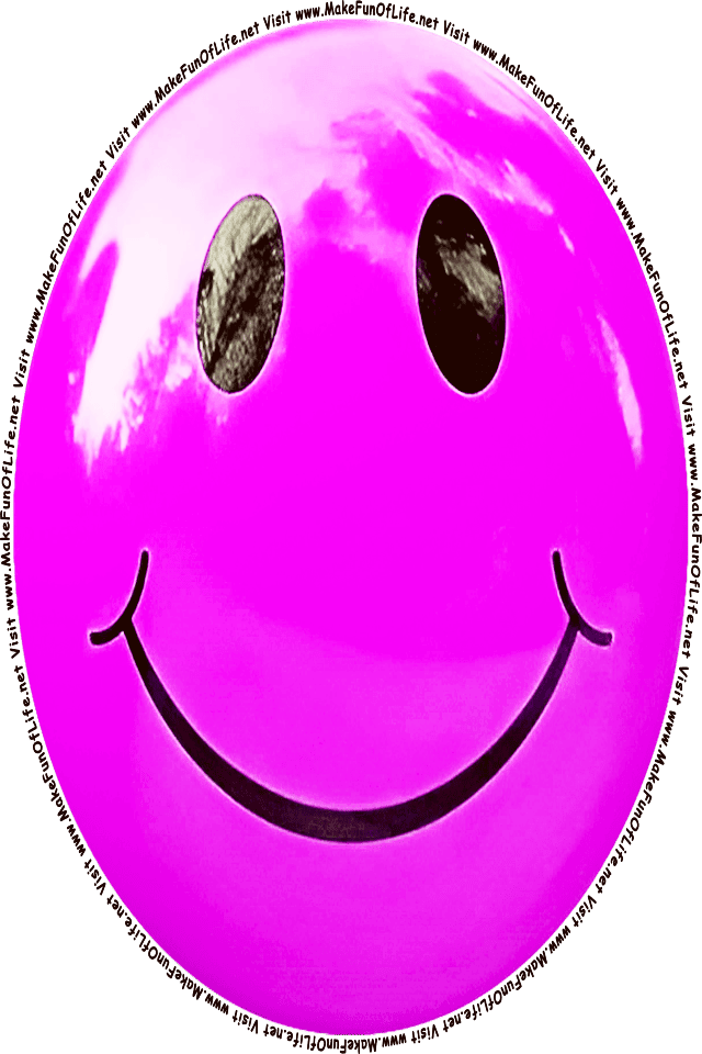 Picture of a pink 6 smiley face, and the words, Visit www.MakeFunOfLife.net.