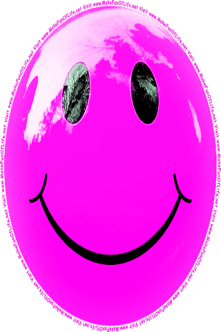 Picture of a pink 80 color cartoon smiley face, and the words, Visit www.MakeFunOfLife.net.