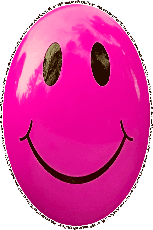 Picture of a pink 9 smiley face, and the words, Visit www.MakeFunOfLife.net.