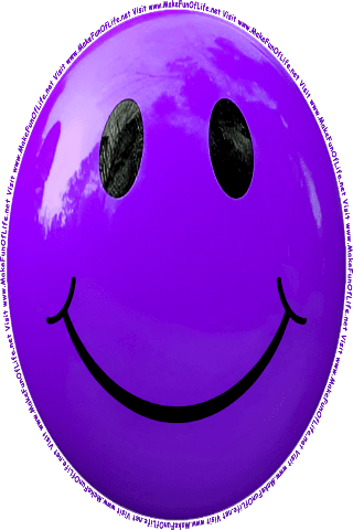 Picture of a purple 100 color cartoon smiley face, and the words, Visit www.MakeFunOfLife.net.