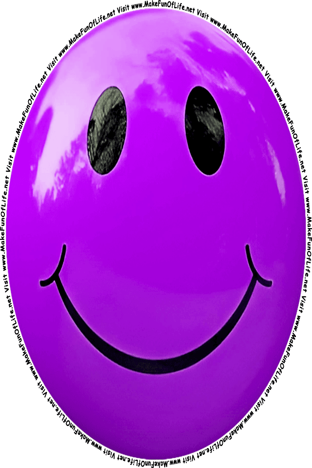 Picture of a purple 10 smiley face, and the words, Visit www.MakeFunOfLife.net.