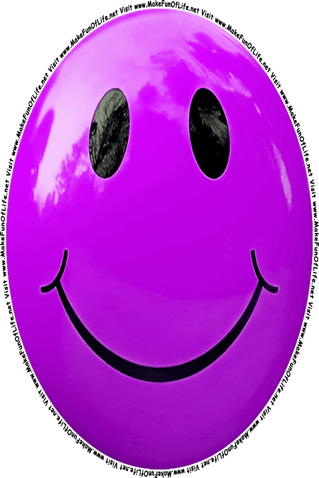 Picture of a Purple 11 smiley face, and the words, Visit www.MakeFunOfLife.net.