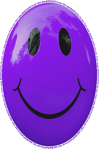 Picture of a purple 120  color cartoon smiley face, and the words, Visit www.MakeFunOfLife.net.