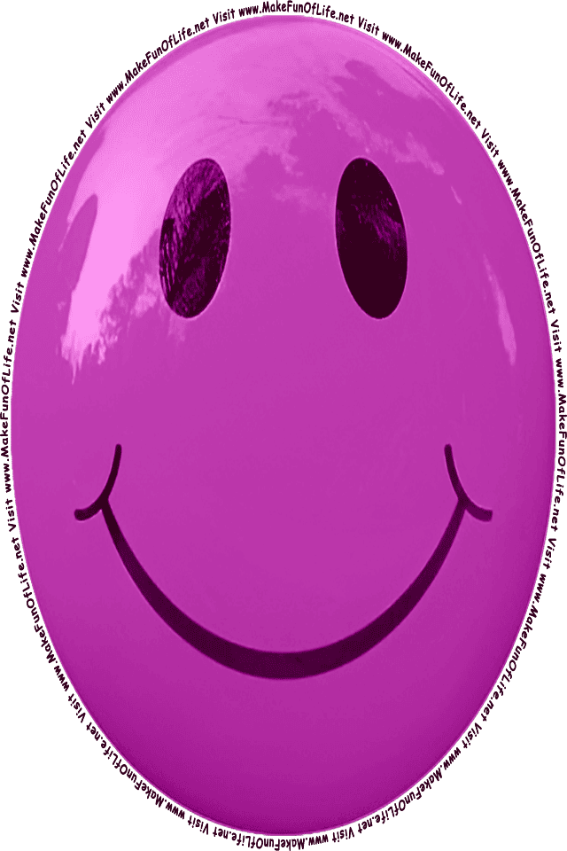 Picture of a Purple 12 smiley face, and the words, Visit www.MakeFunOfLife.net.