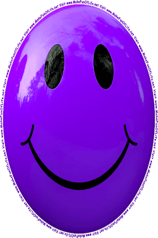 Picture of a purple 140 color cartoon smiley face, and the words, Visit www.MakeFunOfLife.net.
