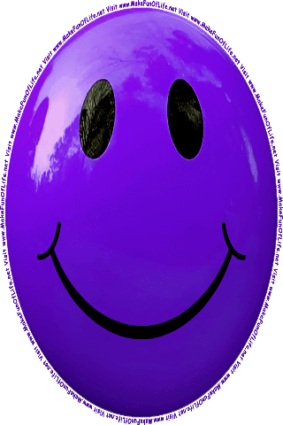 Picture of a purple 180 color cartoon smiley face, and the words, Visit www.MakeFunOfLife.net.