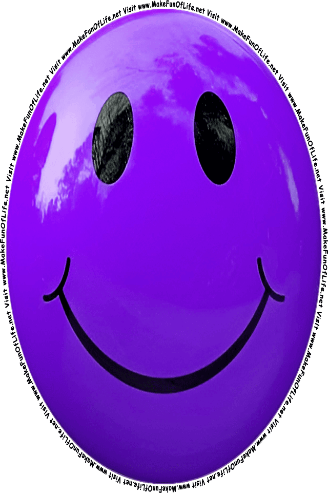 Picture of a purple 1 smiley face, and the words, Visit www.MakeFunOfLife.net.